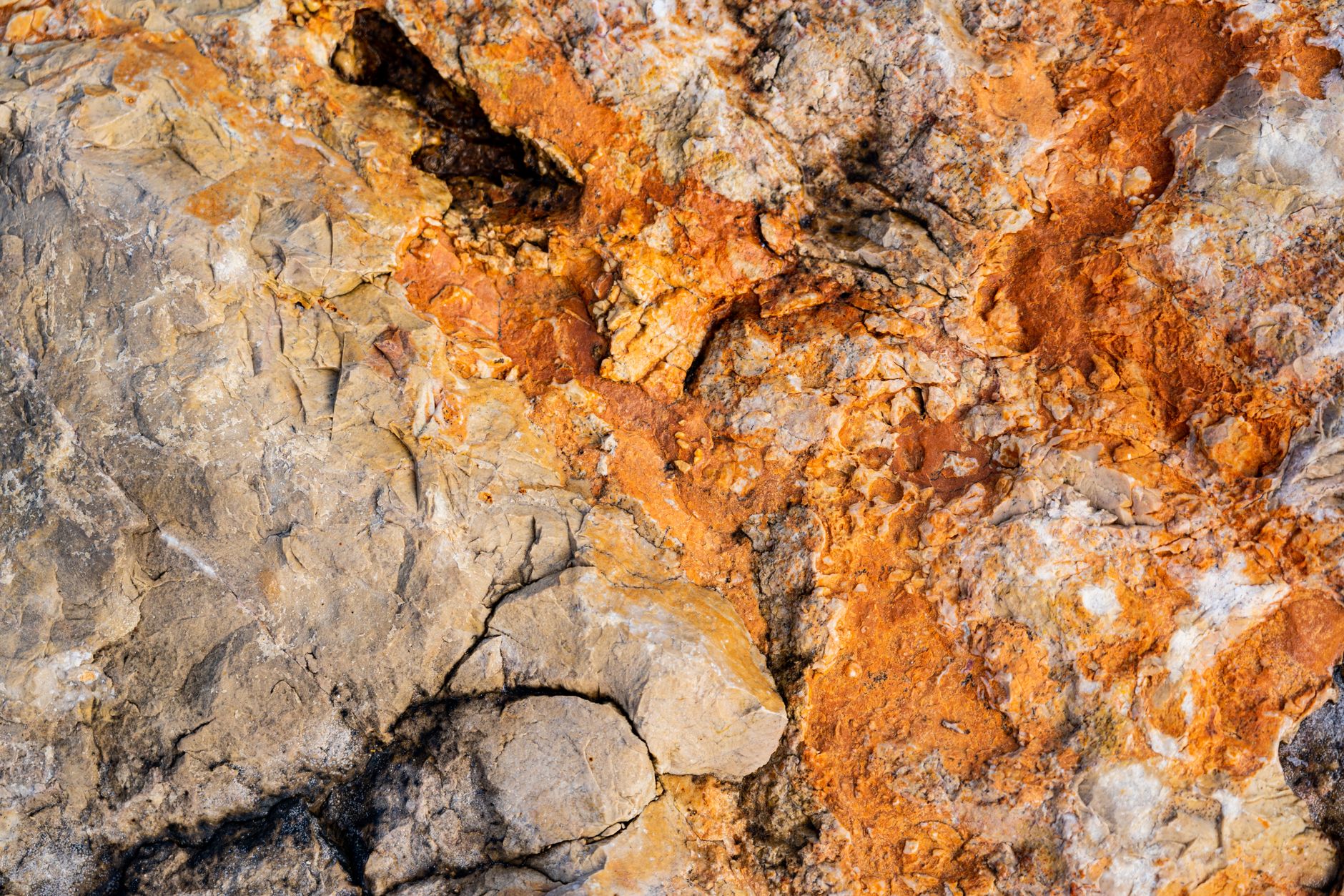 Detailed close-up of a natural rock formation showcasing vibrant earth tones and textures.
