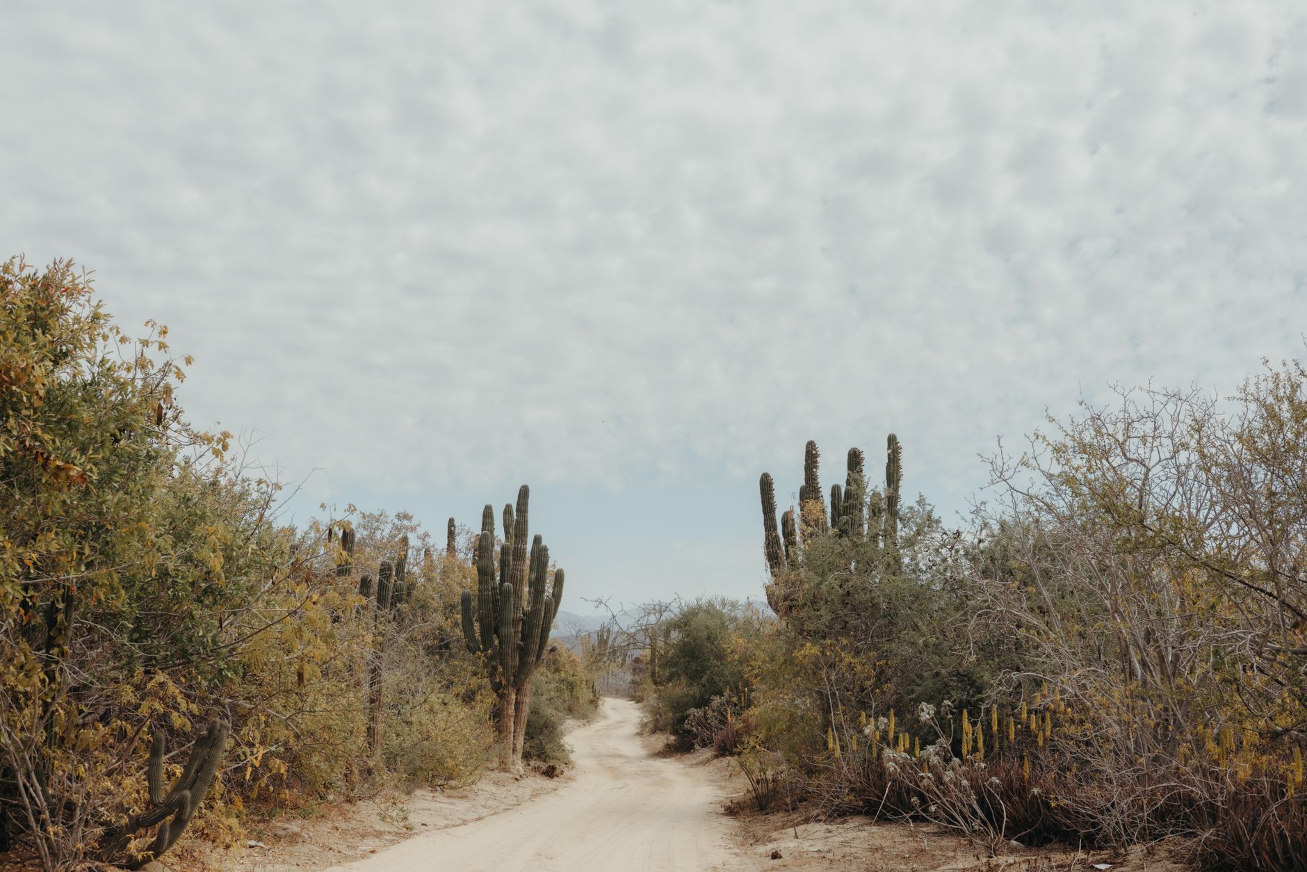 open desert land with a dirt road and rocky hills in California